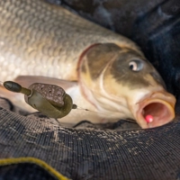 NuFish Silo Feeders